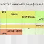 Mustahab dan Sunnah: Mengurai Perbedaan Hukum Fikih dan Implikasinya pada Halal Living Umat