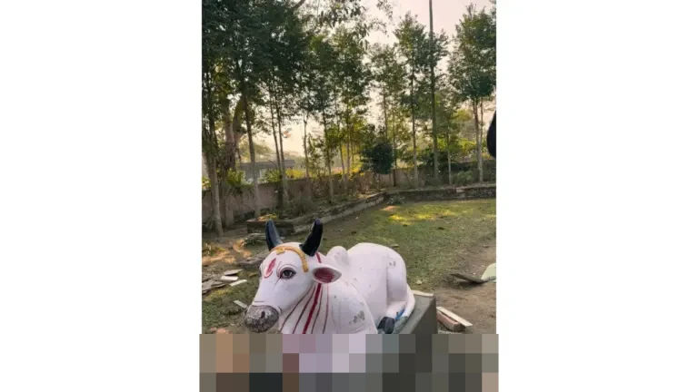 Nandi Julyanto: “Negara Tujuan Ekspor Minati Toyota Veloz Hybrid Buatan Indonesia”