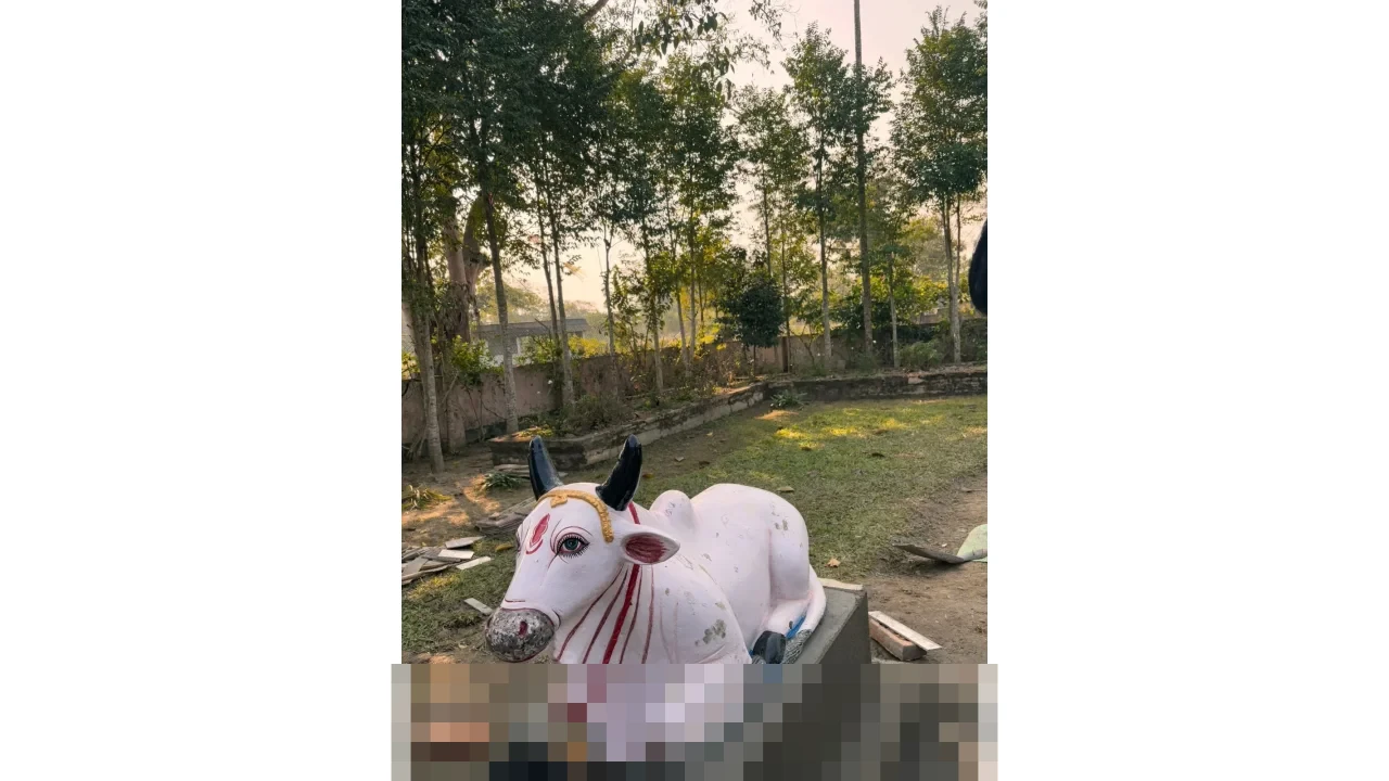 Nandi Julyanto: “Negara Tujuan Ekspor Minati Toyota Veloz Hybrid Buatan Indonesia”