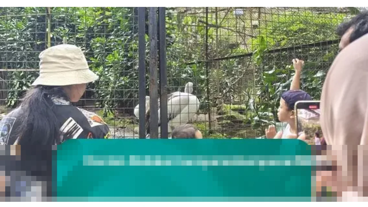 Nostalgia di Bandung Zoo: Kisah Kakek-Nenek Mengulang Masa Kecil Bersama Cucu di Awal Tahun Nostalgia di Bandung Zoo: Kisah Kakek-Nenek Mengulang Masa Kecil Bersama Cucu di Awal Tahun