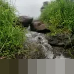 Orang Tua Wajib Tahu! Ini Referensi Materi Bahasa Jawa Kelas 1 Semester 2 untuk Belajar Efektif