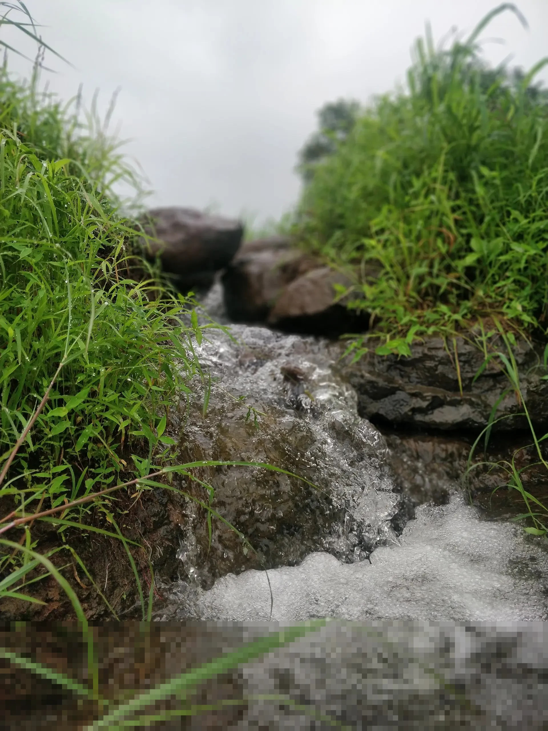 Orang Tua Wajib Tahu! Ini Referensi Materi Bahasa Jawa Kelas 1 Semester 2 untuk Belajar Efektif