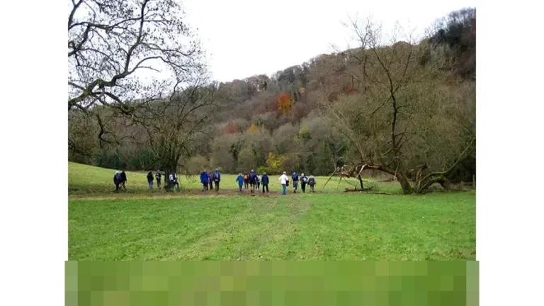 Pajak Progresif Kendaraan Resmi Dihitung Berdasarkan NIK, Samsat Tuban Tegaskan Bukan Lagi Kartu Keluarga