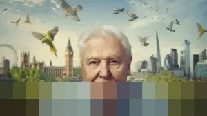 Panduan Lengkap: Cara Menonton Dokumenter ‘Wild London’ David Attenborough di BBC iPlayer Gratis