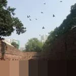 Panduan Lengkap Menyusun Susunan Acara Isra Miraj di Sekolah agar Berjalan Lancar dan Tertib