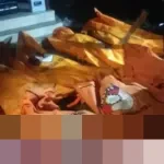 Panti Werdha Damai Manado Terbakar, 17 Lansia Meninggal Dunia Diduga Akibat Korsleting Listrik