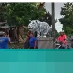 Patung Macan Putih Unik di Kediri Viral, Angkat Ekonomi UMKM dan Jadi Buruan Seniman