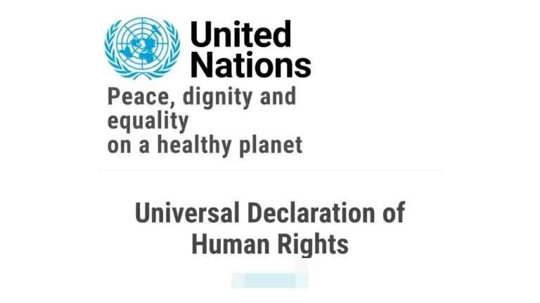 PBB Tegaskan Kebebasan Berekspresi sebagai Pilar Utama Hak Asasi Manusia Global