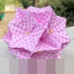 Pebalap Gresini Racing Fermin Aldeguer Cedera Patah Paha Jelang Tes Pramusim MotoGP 2026