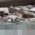 Pemerintah Jepang Peringatkan Gempa Megathrust Palung Nankai, 298.000 Jiwa Terancam Melayang