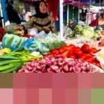 Pemerintah Kalurahan Girikerto Sleman Resmikan Taman Ketahanan Pangan ‘Semar Ndalil’ Berkonsep Wisata Edukasi