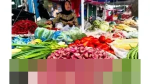 Pemerintah Kalurahan Girikerto Sleman Resmikan Taman Ketahanan Pangan ‘Semar Ndalil’ Berkonsep Wisata Edukasi