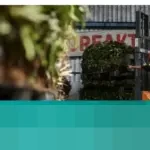 Pemerintah Percepat Pembangunan Proyek Waste to Energy di 34 Kabupaten/Kota, Atasi 1.000 Ton Sampah Harian