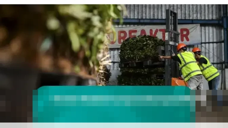 Pemerintah Percepat Pembangunan Proyek Waste to Energy di 34 Kabupaten/Kota, Atasi 1.000 Ton Sampah Harian Pemerintah Percepat Pembangunan Proyek Waste to Energy di 34 Kabupaten/Kota, Atasi 1.000 Ton Sampah Harian