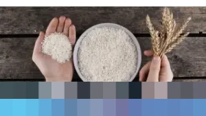 Pemerintah Tegaskan Tidak Ada Impor Beras dan Gula Konsumsi Sepanjang Tahun 2026