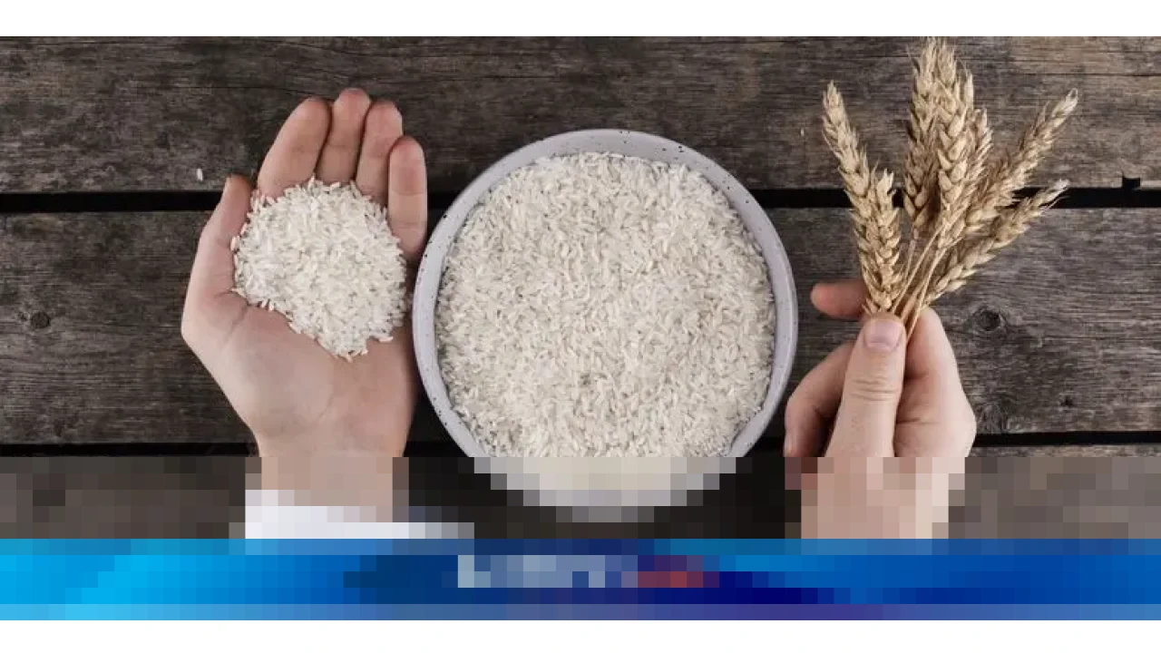 Pemerintah Tegaskan Tidak Ada Impor Beras dan Gula Konsumsi Sepanjang Tahun 2026 Pemerintah Tegaskan Tidak Ada Impor Beras dan Gula Konsumsi Sepanjang Tahun 2026