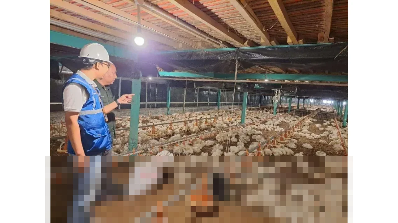 Pemerintah Tetapkan Tarif Listrik Triwulan I 2026 Tidak Naik demi Jaga Daya Beli Masyarakat Pemerintah Tetapkan Tarif Listrik Triwulan I 2026 Tidak Naik demi Jaga Daya Beli Masyarakat