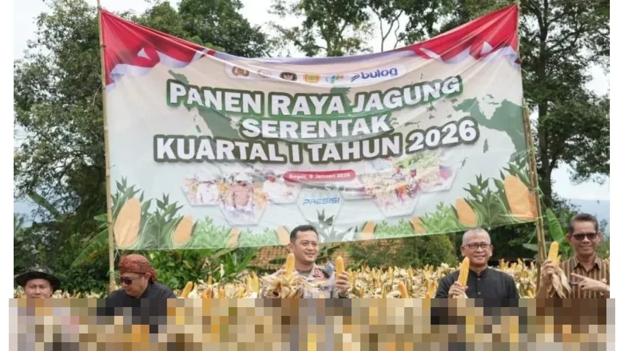 Pemkab Bogor-Polri Perkuat Sinergi, Targetkan Peningkatan Produksi Jagung untuk Ketahanan Pangan Pemkab Bogor-Polri Perkuat Sinergi, Targetkan Peningkatan Produksi Jagung untuk Ketahanan Pangan
