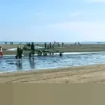 Pemkab Penajam Paser Utara Umumkan Pembangunan Wisata Pantai Terpadu Dekat IKN untuk Gerakkan Ekonomi Pesisir