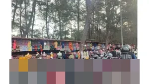 Pemkot Bengkulu Bidik Kenaikan PAD Rp 386 Miliar di 2026 Melalui Penataan Kawasan Pantai