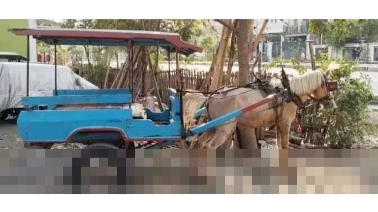 Pemkot Mataram Akui Kendala Lokasi Penampungan Hambat Program Biogas dari Kotoran Kuda