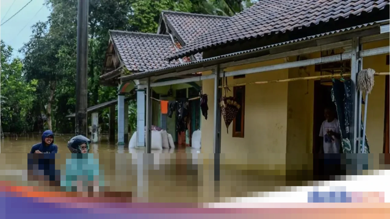 Pemprov Banten Siapkan Bantuan Benih Usai 2.093 Hektare Sawah Terendam Banjir dan Puso