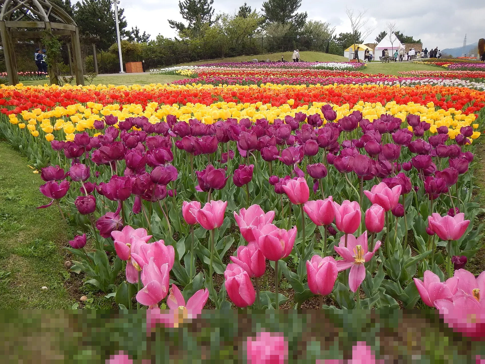 Pemprov DKI Kaji Ulang Pembangunan JPO Sarinah, Gubernur Pramono Anung Prioritaskan Akses Difabel Pemprov DKI Kaji Ulang Pembangunan JPO Sarinah, Gubernur Pramono Anung Prioritaskan Akses Difabel