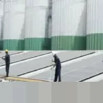 Penarikan AS dari Organisasi EBT Picu Koreksi Saham Energi Bersih, Prospek Domestik Tetap Kuat