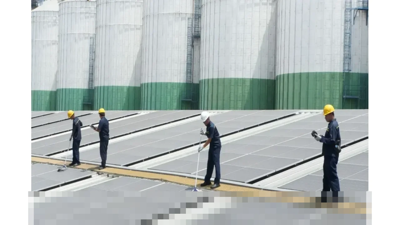 Penarikan AS dari Organisasi EBT Picu Koreksi Saham Energi Bersih, Prospek Domestik Tetap Kuat