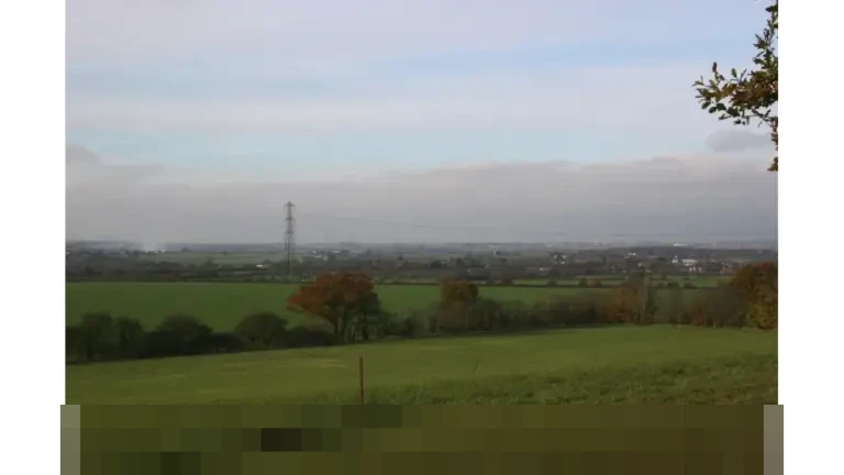 Pentingnya Hadits sebagai Sumber Hukum Kedua dalam Islam: Menjelaskan Syariat yang Tak Rinci di Al-Qur’an