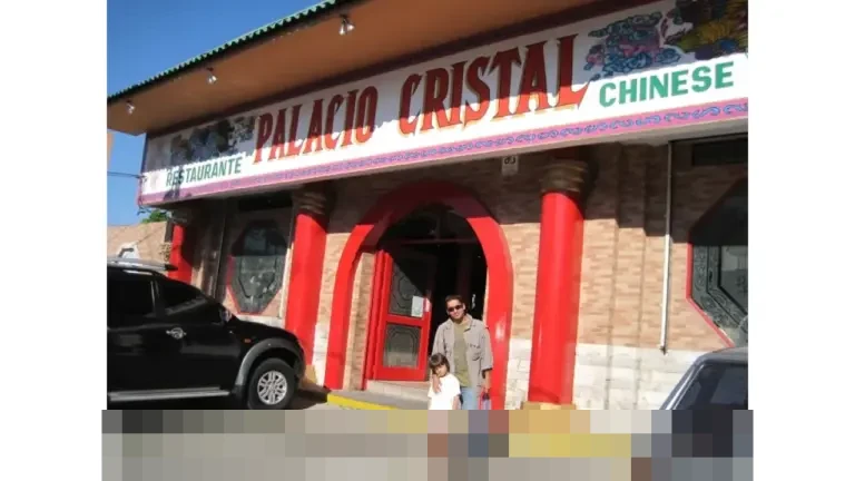 Pentingnya Surat Pernyataan 18 Poin PPPK: Kelalaian Satu Poin Berisiko Gugurkan Pelamar