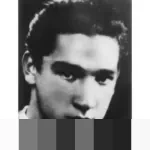 Peran Tak Terduga CN-235: Pesawat Buatan Indonesia Andalan Operasi Militer AS di Venezuela