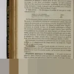 Peran Vital Tanaman Perkebunan Indonesia: Penopang Industri, Devisa, dan Peluang Ekonomi Nasional