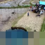 Pergerakan Tanah di Limapuluh Kota Berlanjut, Ahli Geologi: “Bukan Fenomena Baru”