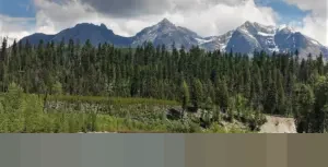 Pergeseran Tradisi dan Intrik Kekuasaan di Balik Ritual Jiao Bei Kelenteng Han Tan Kong