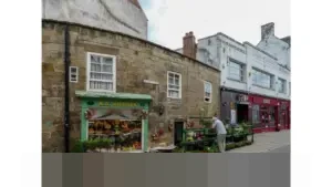 Pernikahan Dini di Media Sosial: Ketika Kemalasan Berpikir Dilegitimasi Atas Nama Iman