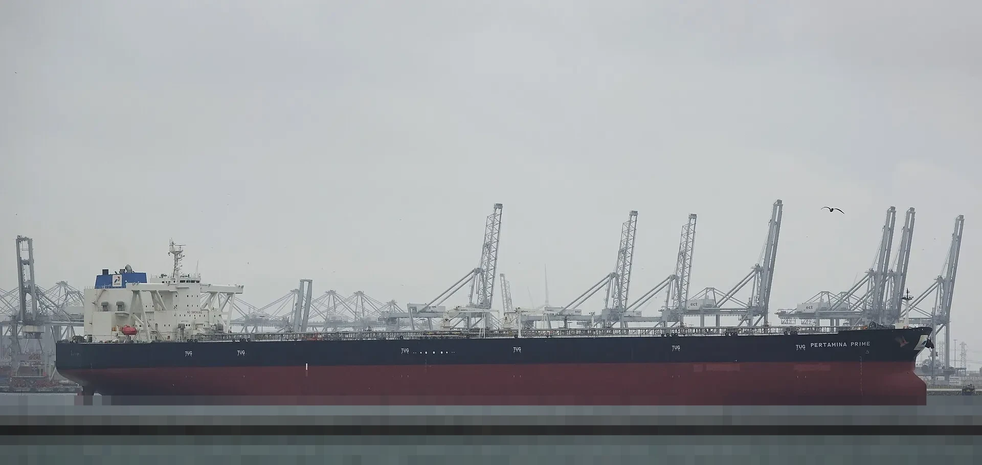 Pertamina Pastikan Harga Pertamax Stabil di Seluruh Provinsi per 10 Januari 2026