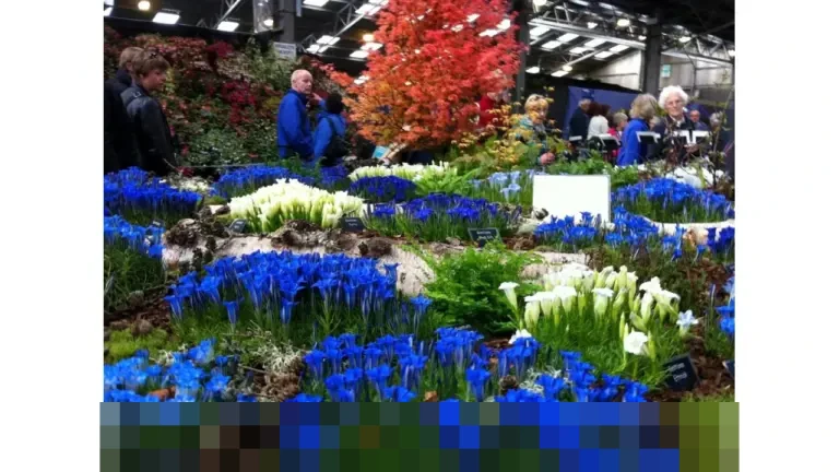 Perum Bulog Rampungkan Penyaluran Bantuan Pangan Instruksi Presiden ke Korban Bencana di Sumatera