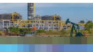 PHE: “Cadangan Migas 106 Juta Barrel Berkontribusi pada Lifting Nasional”