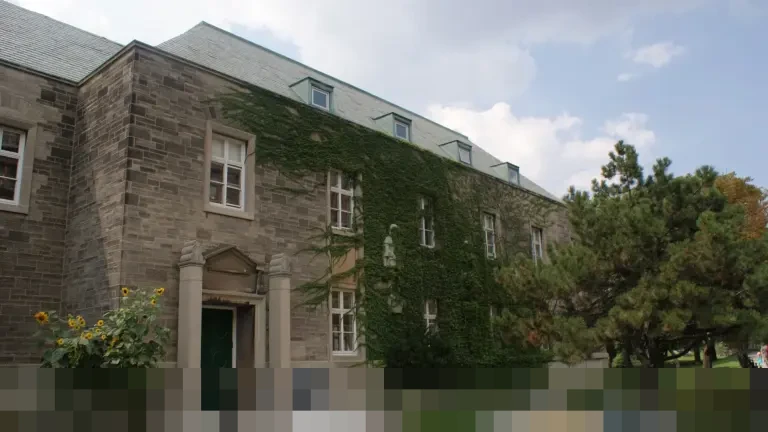 PIC SPPG Sragen Akui Lalai Bangun Dapur Gizi di Samping Peternakan Babi: ‘Kami Nekat Ya’