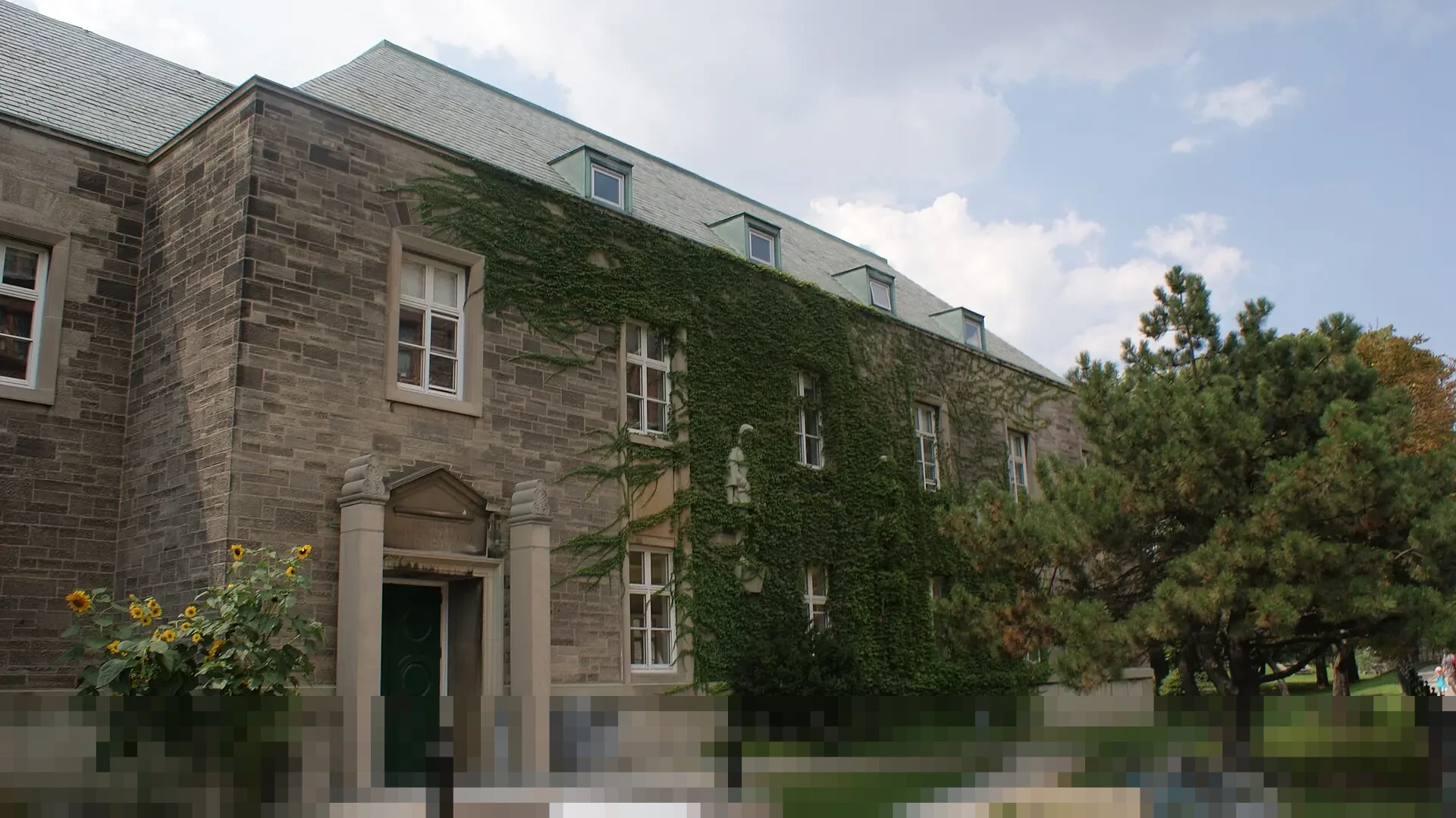 PIC SPPG Sragen Akui Lalai Bangun Dapur Gizi di Samping Peternakan Babi: ‘Kami Nekat Ya’