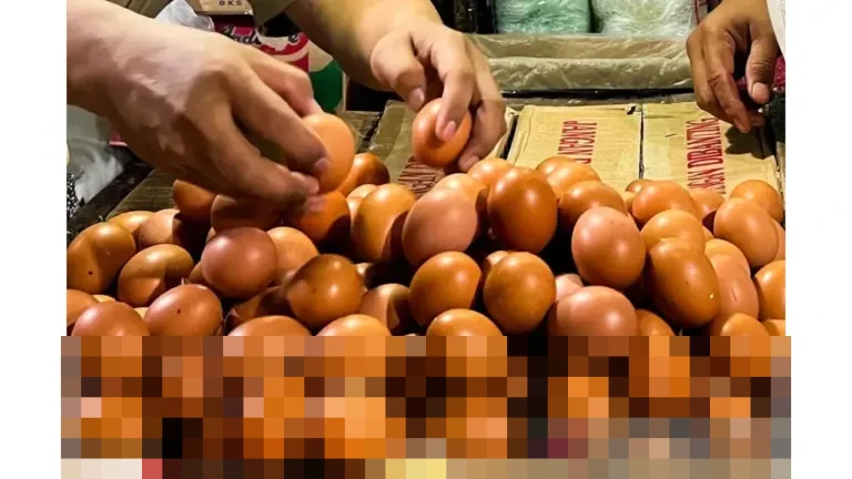 PIHPS Nasional Catat Harga Cabai Rawit Merah Rp67.500/Kg, Telur Ayam Ras Rp33.900/Kg pada Awal Januari PIHPS Nasional Catat Harga Cabai Rawit Merah Rp67.500/Kg, Telur Ayam Ras Rp33.900/Kg pada Awal Januari