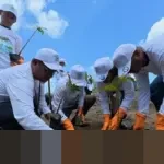 PNM Tanam 374.839 Pohon hingga 2025, Serap Lebih dari 8.900 Ton CO₂ Dukung Gerakan Penghijauan Nasional