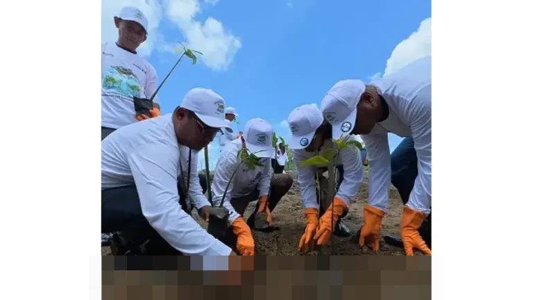 PNM Tanam 374.839 Pohon hingga 2025, Serap Lebih dari 8.900 Ton CO₂ Dukung Gerakan Penghijauan Nasional