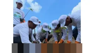 PNM Tanam 374.839 Pohon, Perkuat Gerakan Nasional Penghijauan di Hari Satu Juta Pohon