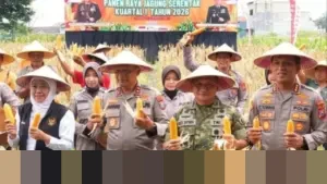 Polda Jatim Panen Raya Jagung di Sidoarjo, Hasilkan 7.499,65 Ton untuk Perkuat Ketahanan Pangan Nasional Polda Jatim Panen Raya Jagung di Sidoarjo, Hasilkan 7.499,65 Ton untuk Perkuat Ketahanan Pangan Nasional