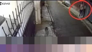 Polda Metro Jaya Usut Teror Bangkai Ayam dan Molotov di Rumah DJ Donny Isal Mawardi