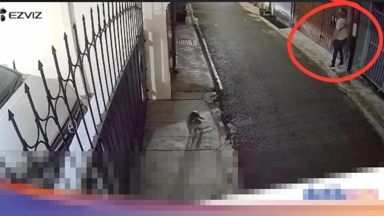 Polda Metro Jaya Usut Teror Bangkai Ayam dan Molotov di Rumah DJ Donny Isal Mawardi