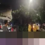 Polsek Palmerah Gerak Cepat Tangani Pohon Tumbang di KS Tubun, Pastikan Arus Lalin Kembali Normal