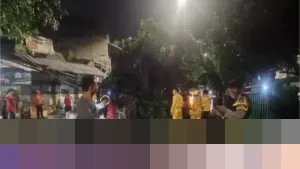 Polsek Palmerah Gerak Cepat Tangani Pohon Tumbang di KS Tubun, Pastikan Arus Lalin Kembali Normal